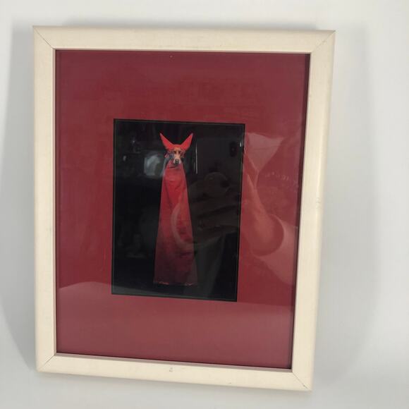 William Wegman Weimeraner Art Print "Devil Dog" Professionally Framed 11x9" - Picture 6 of 11